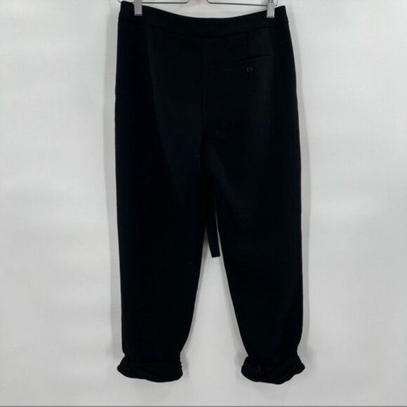 Aritzia Wilfred Allant Pant - Picture 3 of 6
